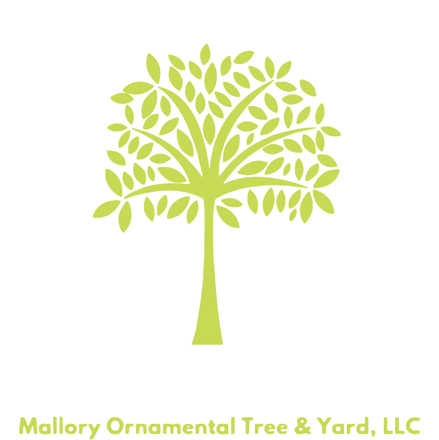 Mallory Ornamental Tree and Yard LLC 900 logo 1