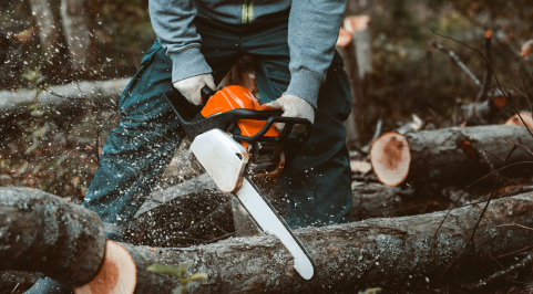 a man sawing a tree with a chainsaw redmond or
